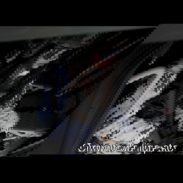 haylujan image ~ Altpins