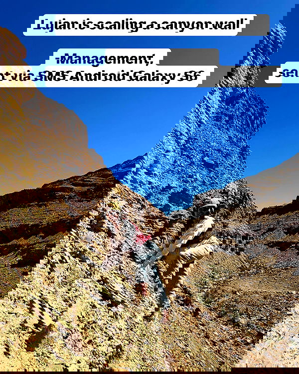 haylujan image ~ Altpins