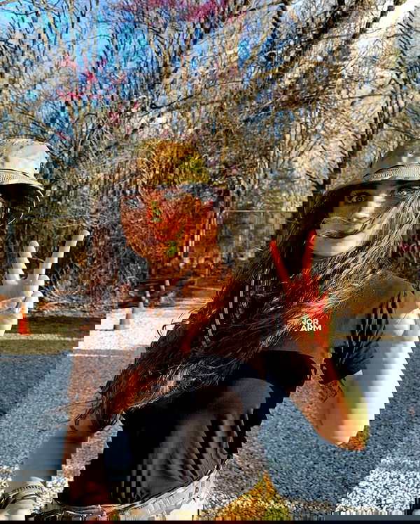 haylujan image ~ Altpins