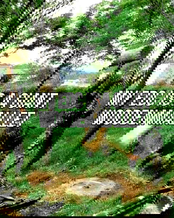 haylujan image ~ Altpins