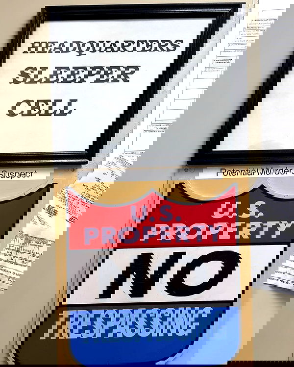 haylujan image ~ Altpins