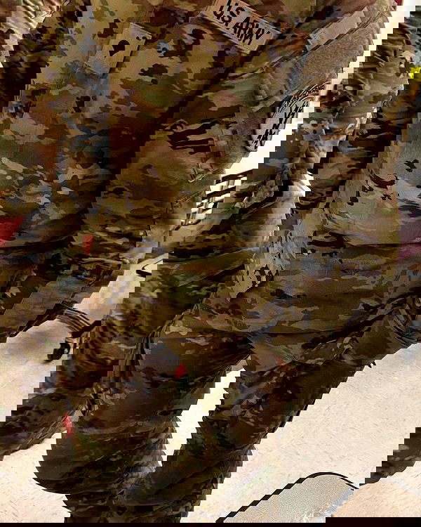 haylujan image ~ Altpins