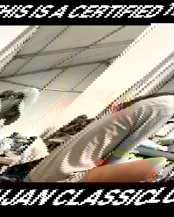 haylujan image ~ Altpins