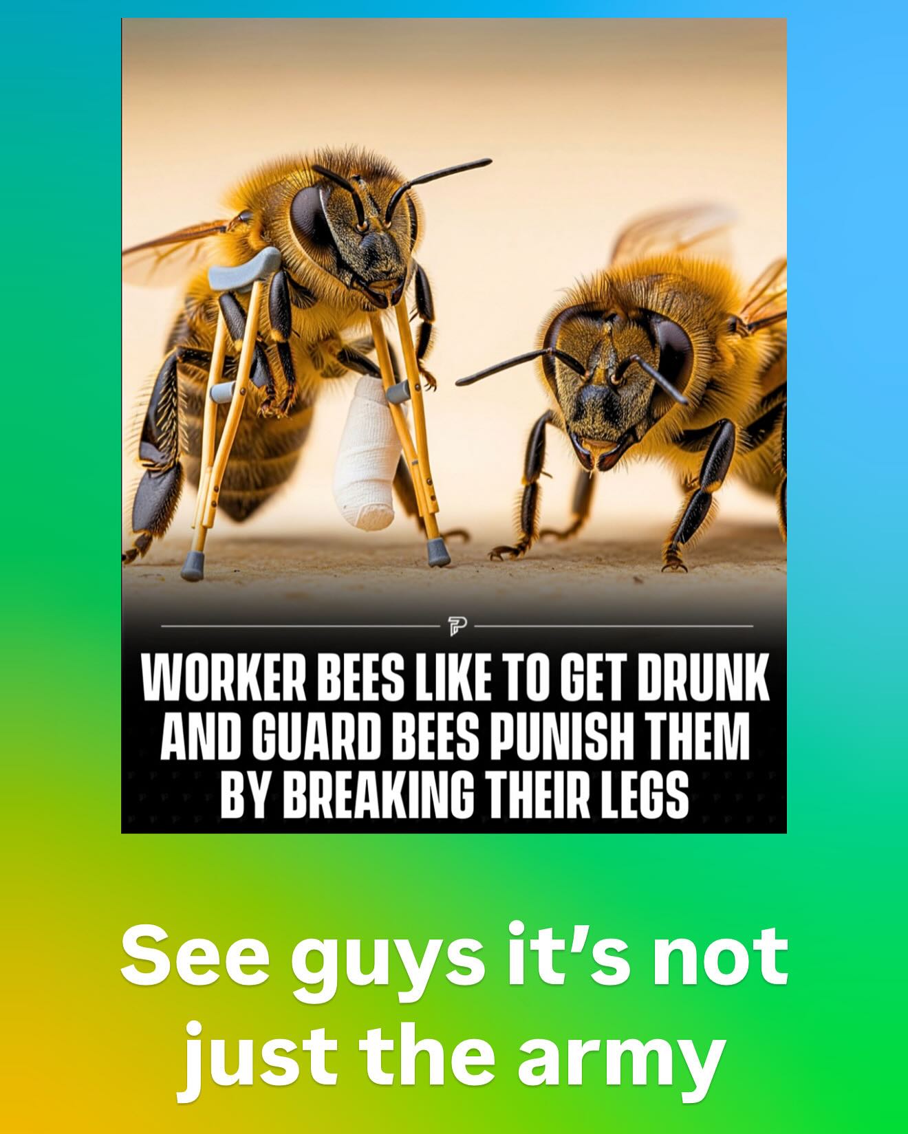 haylujan instagram image archive image