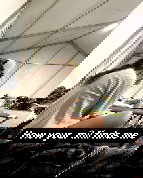 haylujan image ~ Altpins