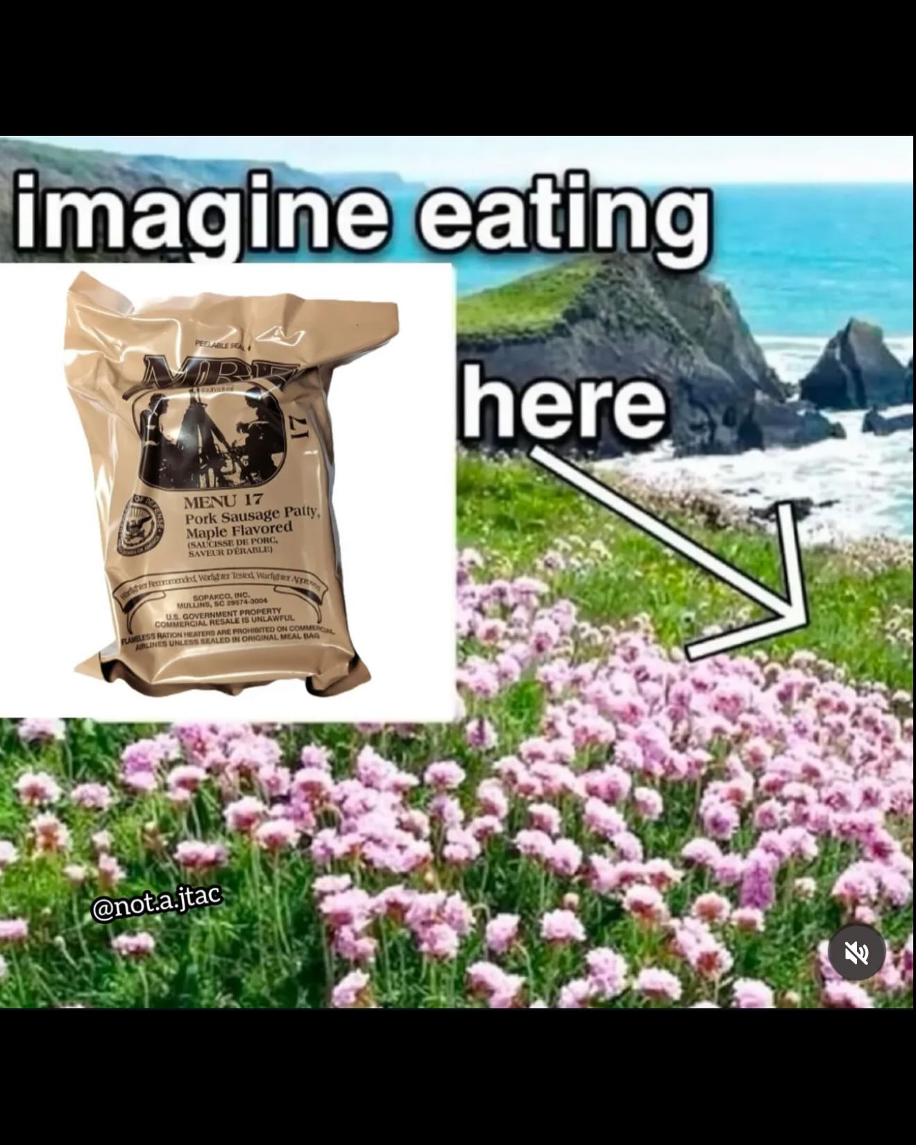 haylujan instagram image archive image