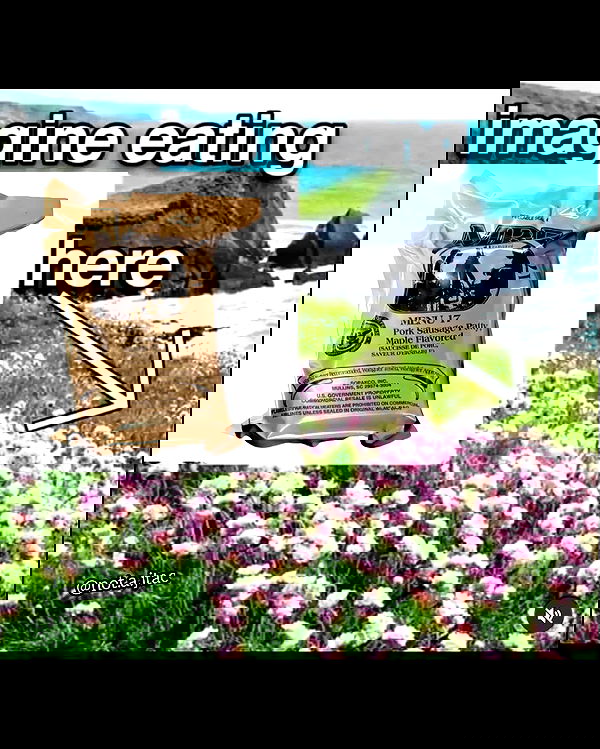 haylujan image ~ Altpins