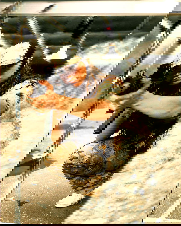 haylujan image ~ Altpins