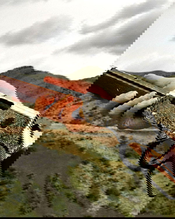 haylujan image ~ Altpins