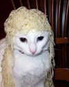 heathergrace67 Altpins Profile Picture