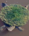 heathergrace67 Altpins Profile Picture