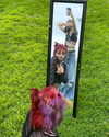 heathergrace67 Altpins Profile Picture