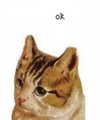 heathergrace67 Altpins Profile Picture