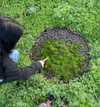 heathergrace67 Altpins Profile Picture