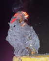 heathergrace67 Altpins Profile Picture