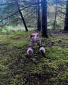 heathergrace67 Altpins Profile Picture