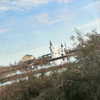 heathergrace67 Altpins Profile Picture