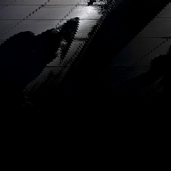 hellokittyangel666 hellokittyangel666 archive image