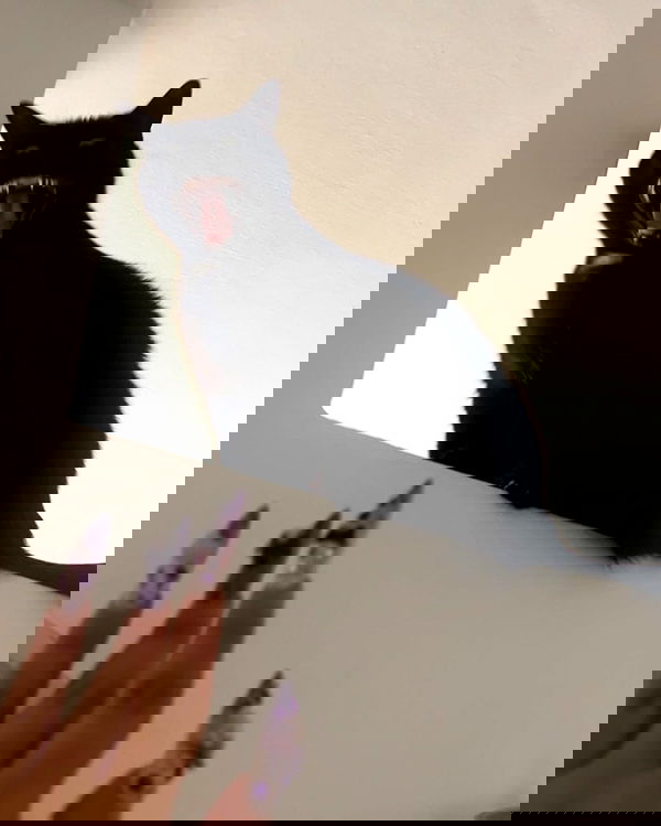 hellokittyangel666 hellokittyangel666 archive image