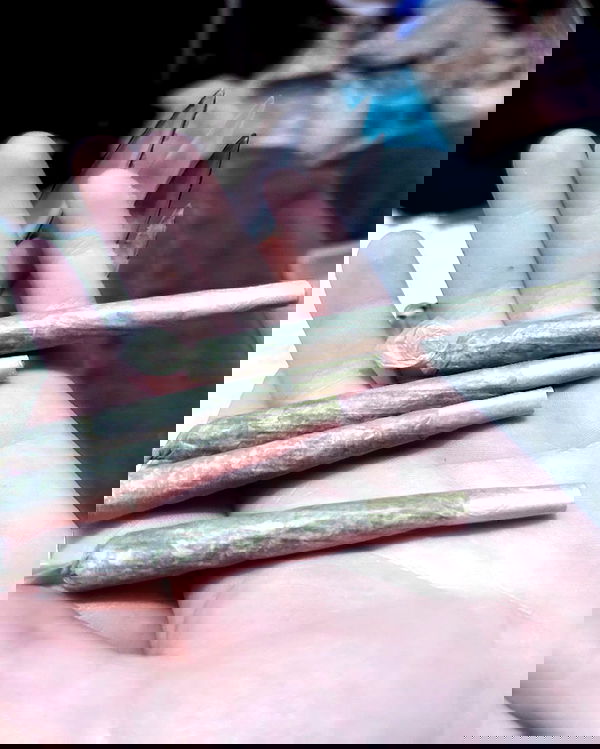 hellokittyangel666 hellokittyangel666 archive image