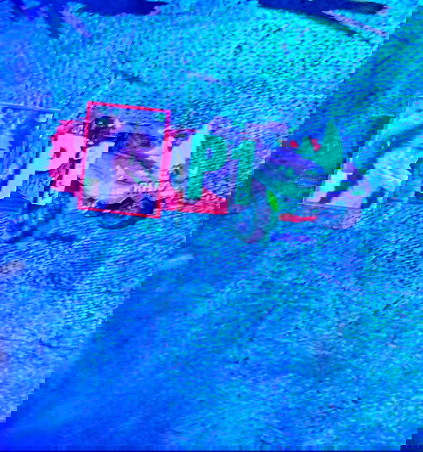 hellokittyangel666 hellokittyangel666 archive image