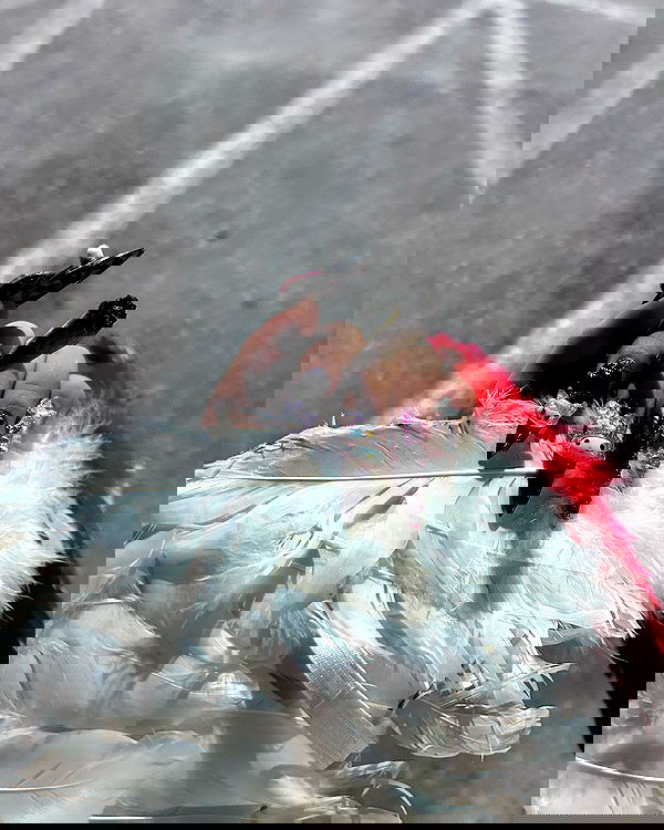 hellokittyangel666 hellokittyangel666 archive image