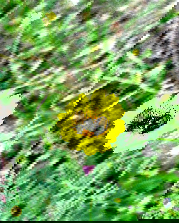 hellokittyangel666 hellokittyangel666 archive image