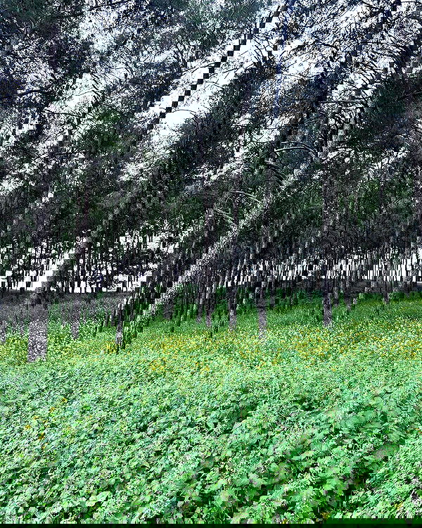 hellokittyangel666 hellokittyangel666 archive image