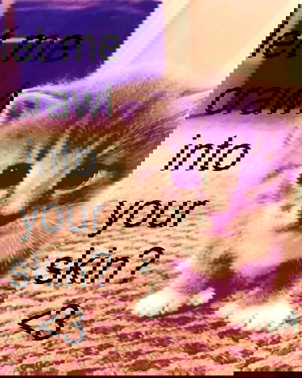 hellokittyangel666 hellokittyangel666 archive image