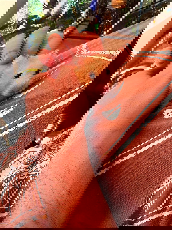 hellokittyangel666 hellokittyangel666 archive image