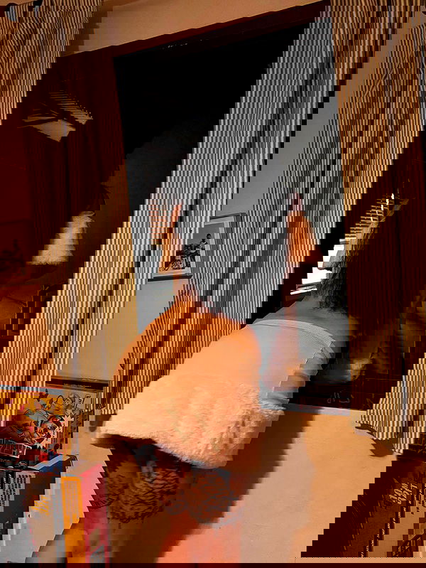 hellokittyangel666 hellokittyangel666 archive image