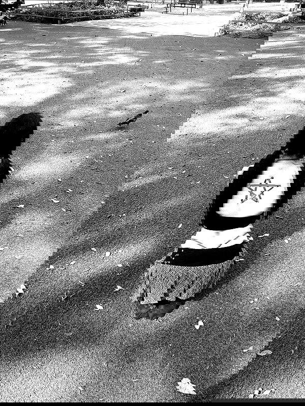 hellokittyangel666 hellokittyangel666 archive image