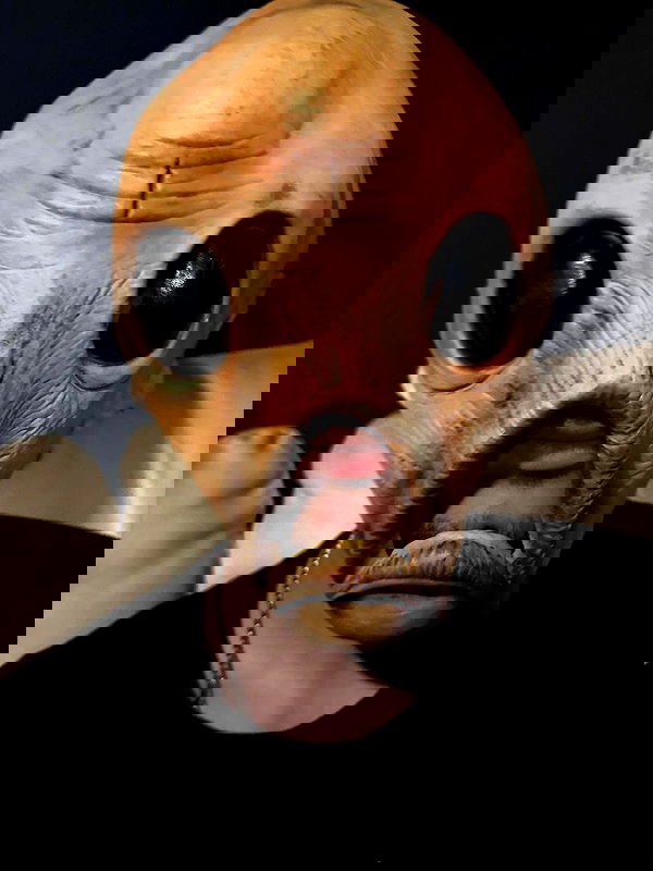 hellokittyangel666 hellokittyangel666 archive image