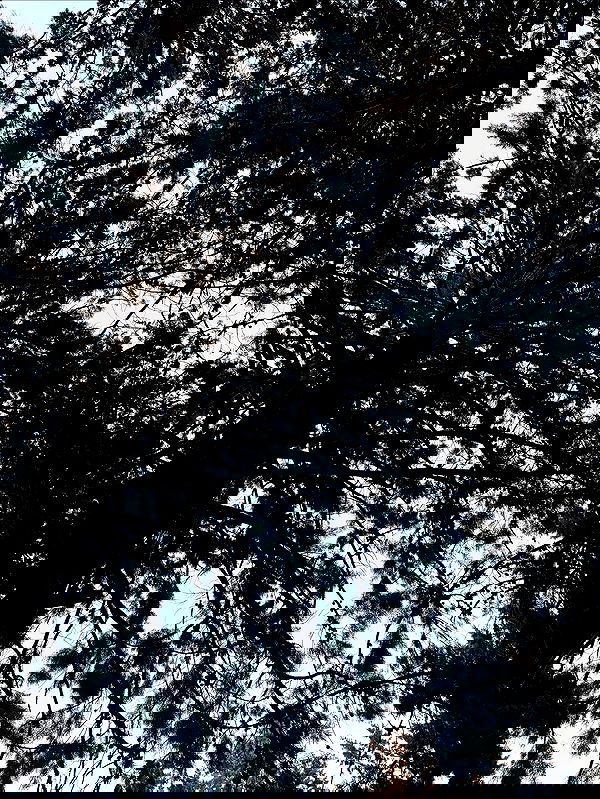 hellokittyangel666 hellokittyangel666 archive image