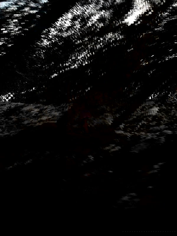 hellokittyangel666 hellokittyangel666 archive image