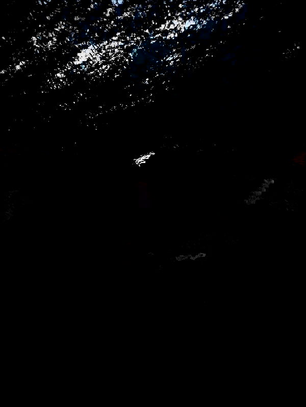 hellokittyangel666 hellokittyangel666 archive image