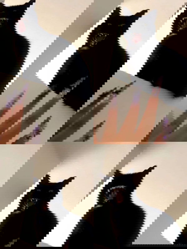 hellokittyangel666 hellokittyangel666 archive image