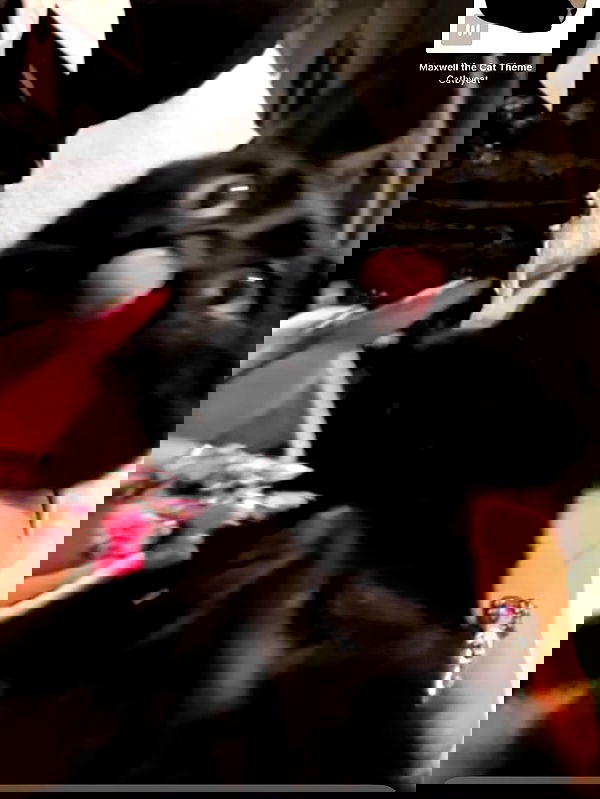 hellokittyangel666 hellokittyangel666 archive image