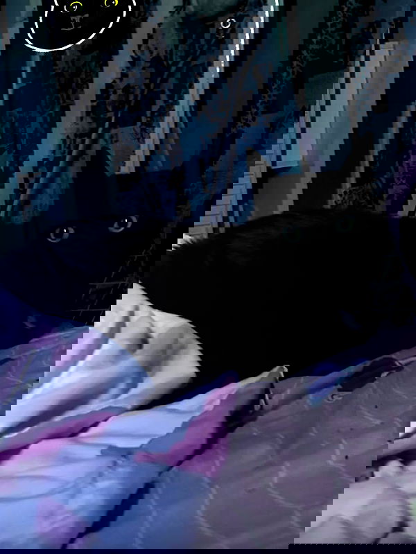 hellokittyangel666 hellokittyangel666 archive image