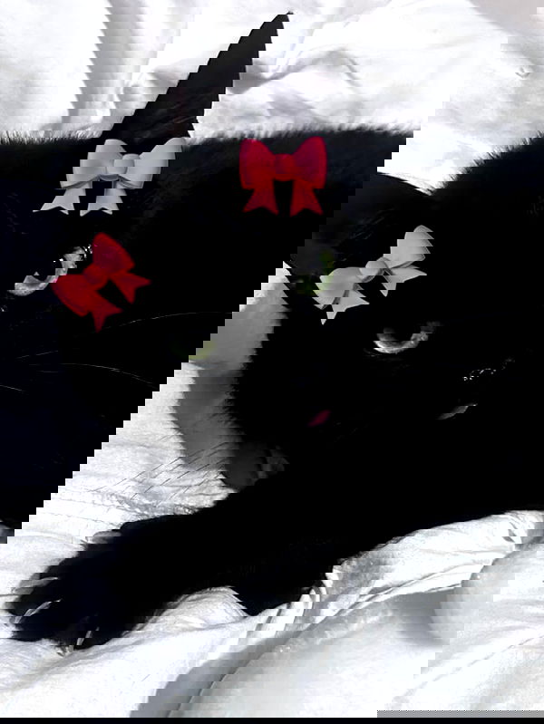 hellokittyangel666 hellokittyangel666 archive image