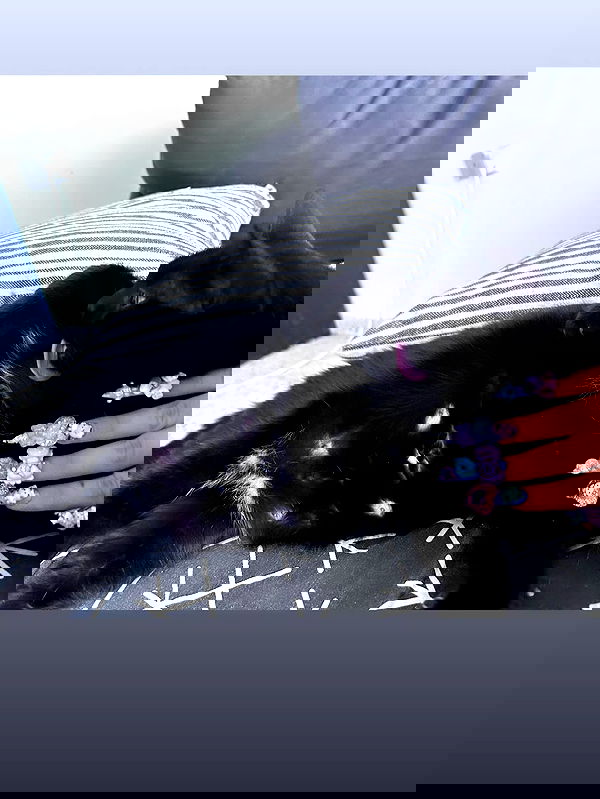 hellokittyangel666 hellokittyangel666 archive image