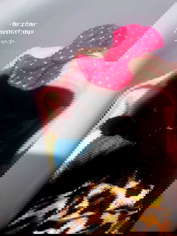 hellokittyangel666 hellokittyangel666 archive image