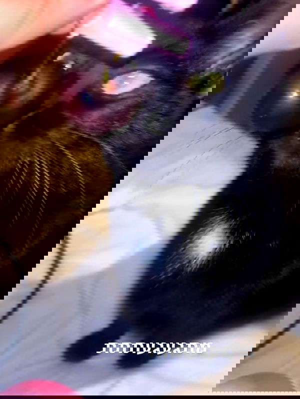 hellokittyangel666 hellokittyangel666 archive image