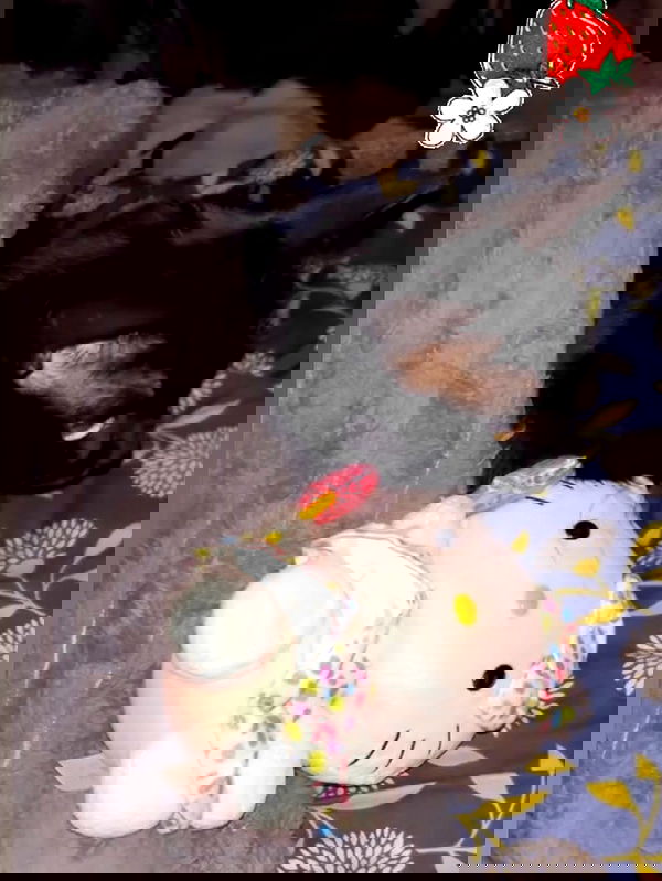 hellokittyangel666 hellokittyangel666 archive image