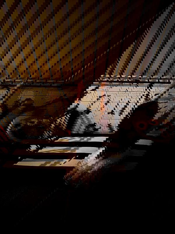 hellokittyangel666 hellokittyangel666 archive image