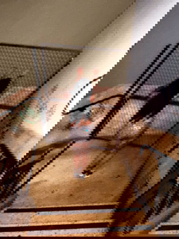 hellokittyangel666 hellokittyangel666 archive image