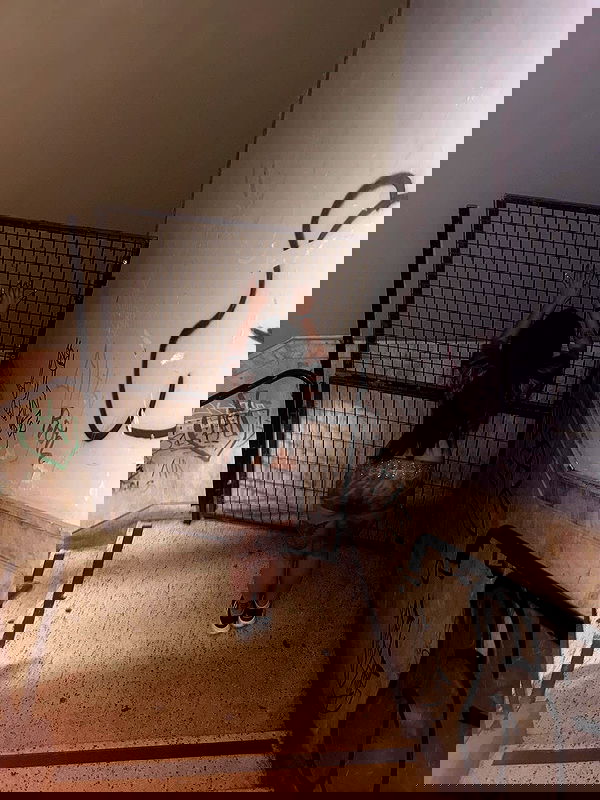 hellokittyangel666 hellokittyangel666 archive image