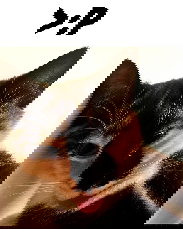 hey.its.yammy hey.its.yammy archive image