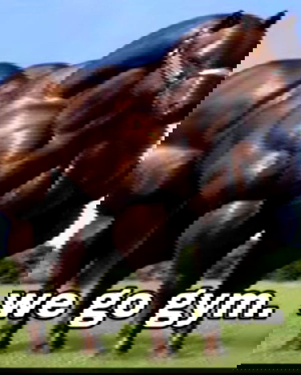 hey.its.yammy hey.its.yammy archive image