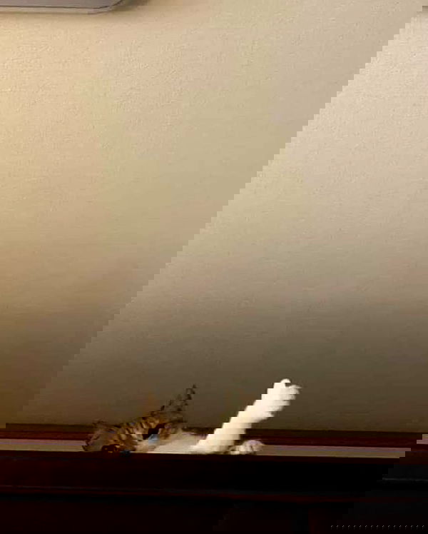 hey.its.yammy hey.its.yammy archive image